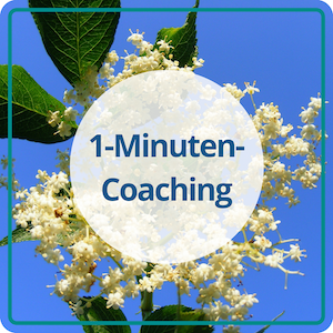 1-Minuten-Coaching